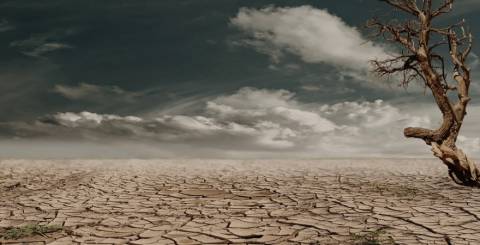 prepare for storms with common sense preps